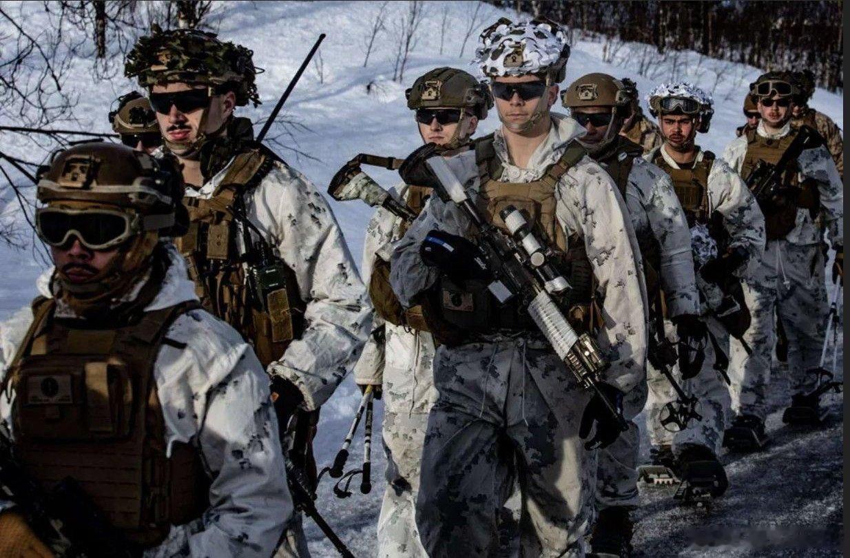 欧媒，在北约于挪威举行的冬季军演期间，芬兰预备役部队以压倒性优势击败了美军，以至