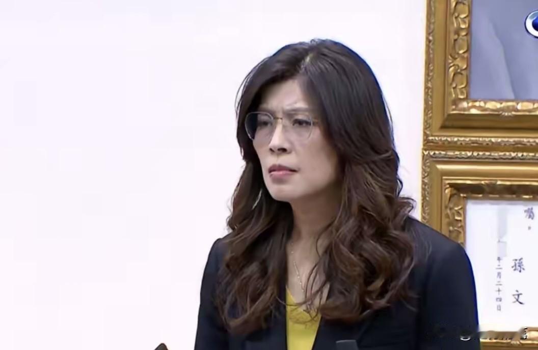 郑丽文在28日的会上表示：美国是恩人大陆是亲人，不需要在美中之间做选择。

郑丽