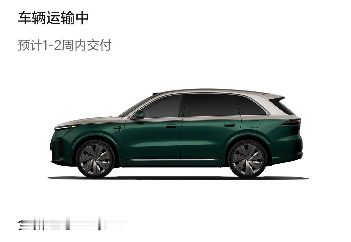 激动的心颤抖的手理想汽车理想汽车理想L8 