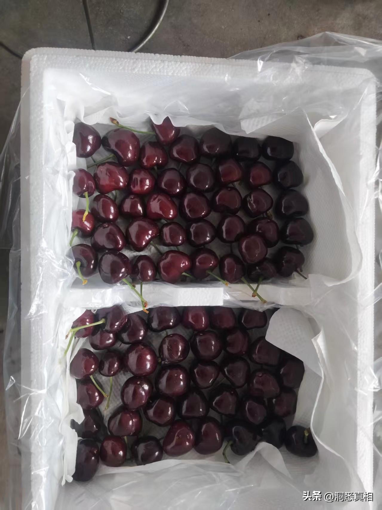 这次买的汉源车厘子，又大又脆又新鲜，甜度刚刚好，128元4斤包邮，不到24小时就