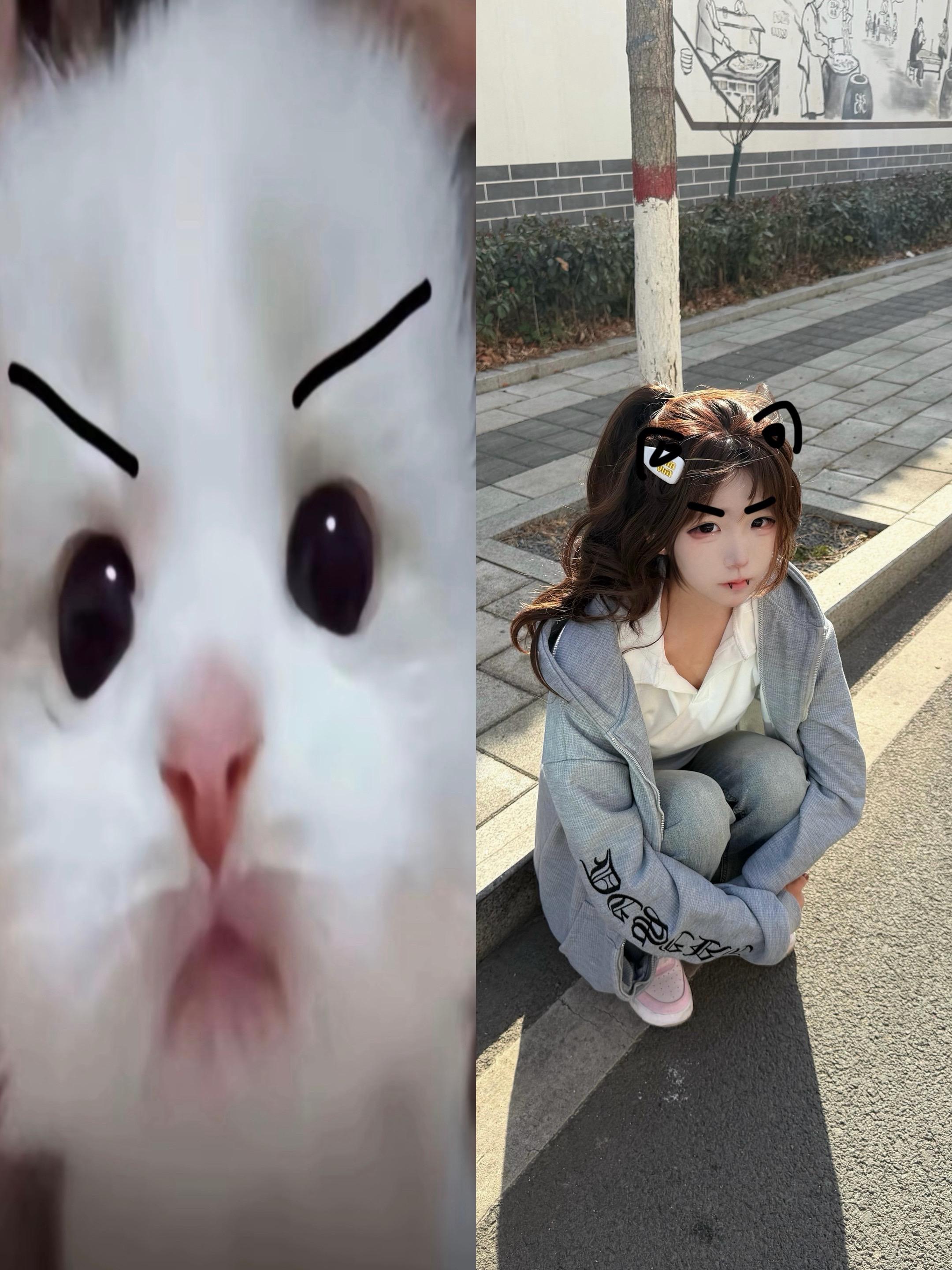 从现在开始，女的不允许玩乙游，男的不许玩galagame ，所有人同时...