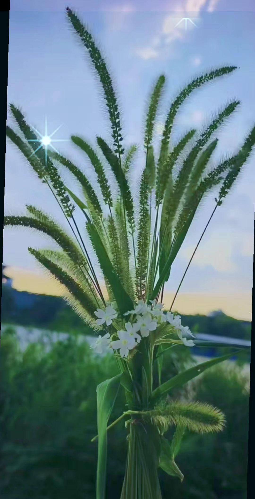 人最不缺的就是代替者，新鲜感一过，你在优秀都没用，好感一上头，什么承诺都敢许，新