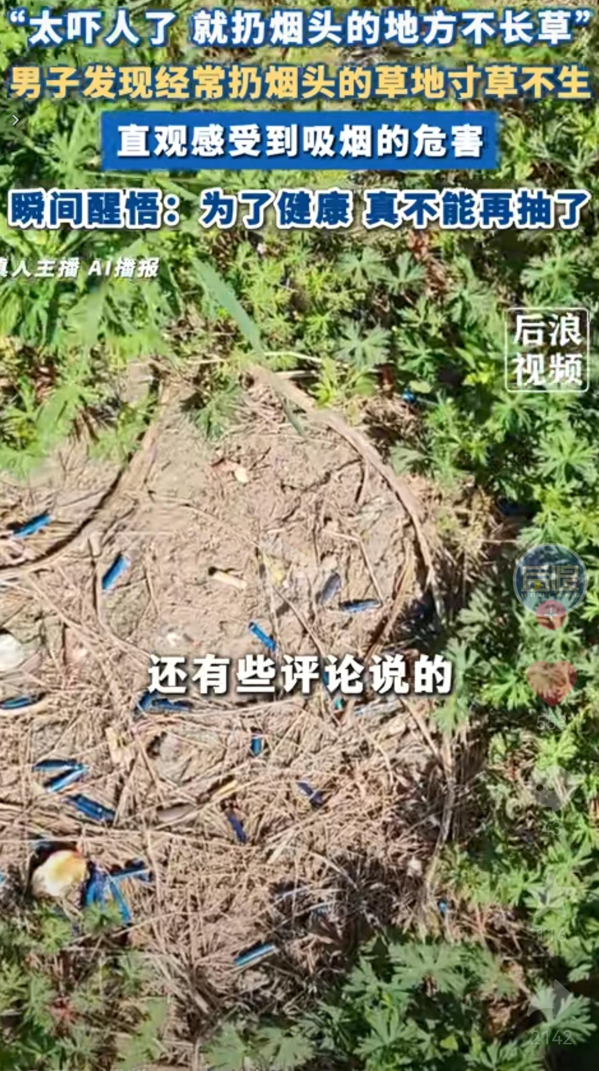 烟头灼伤草地寸草不生，这幕一实景给所有烟民提了醒。
 
你见过吗？一片绿油油的草