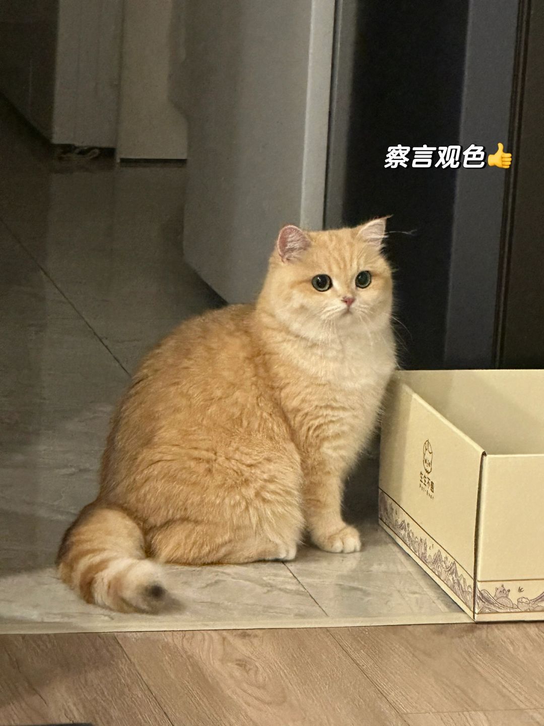一分钟切换6个心眼子