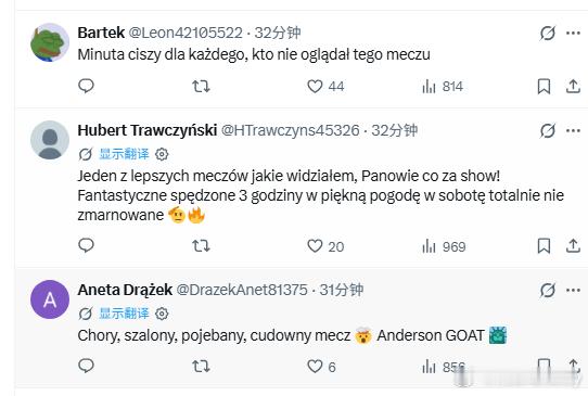 外网球迷对安德森的评价：Anderson GOAT1. Aneta Drążek