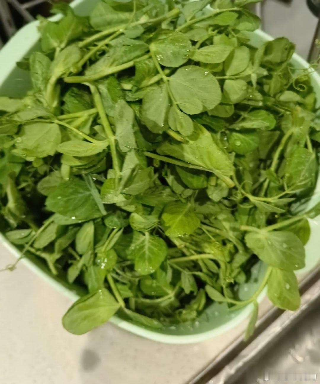 李爷减肥计划  减肥的第一百天。减肥，我是认真的。小伙伴们，这个菜谁懂啊？ 