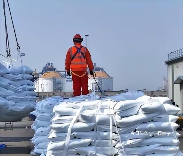 波斯湾局势持续紧张，石油与化肥供应链跟着紧张，全球都在抢肥。中国这边很实在：3月