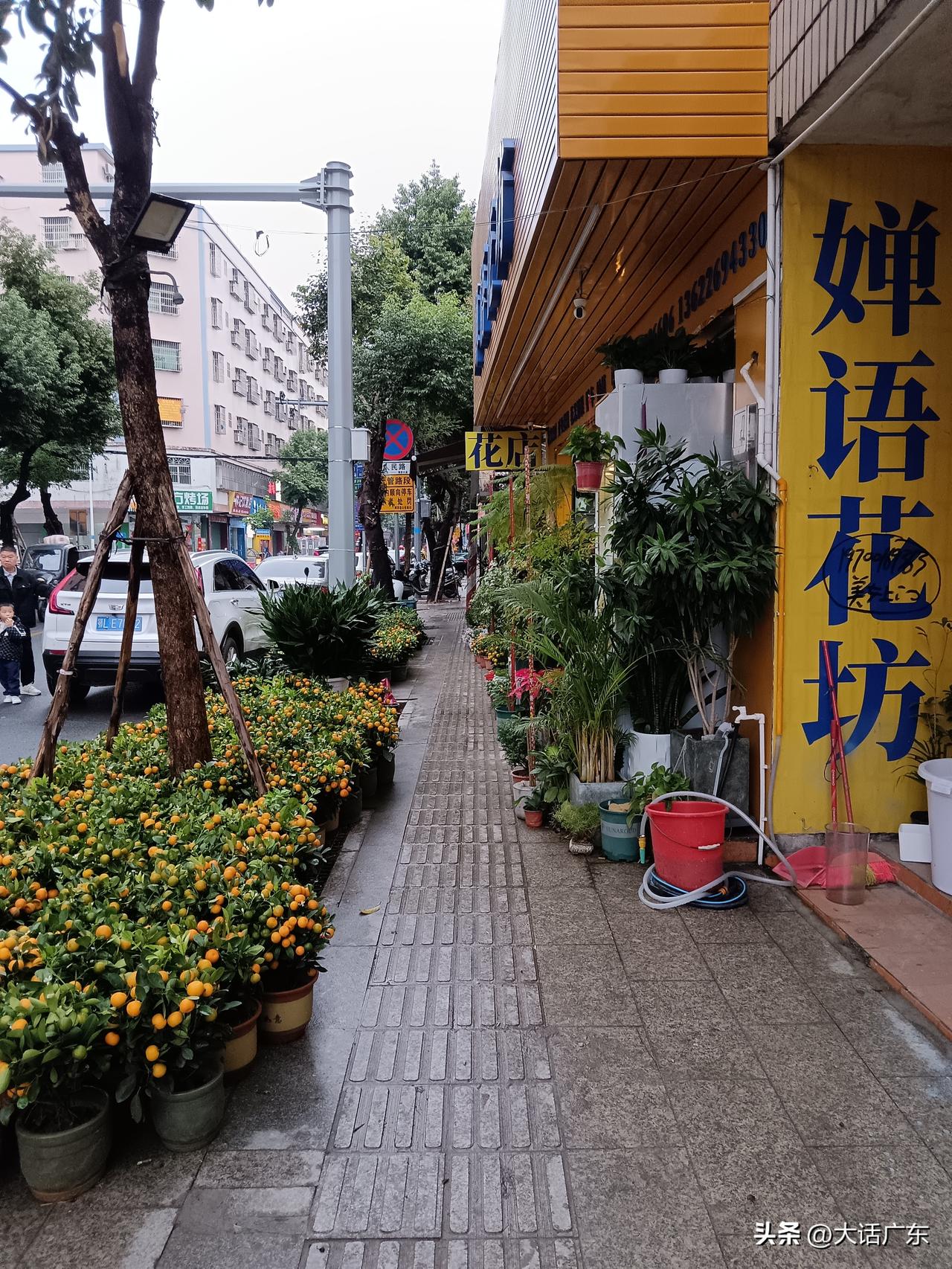 广东有个县城，城区竟不如镇区繁华，这种情况比较少见。大家都清楚，县城通常是一县的