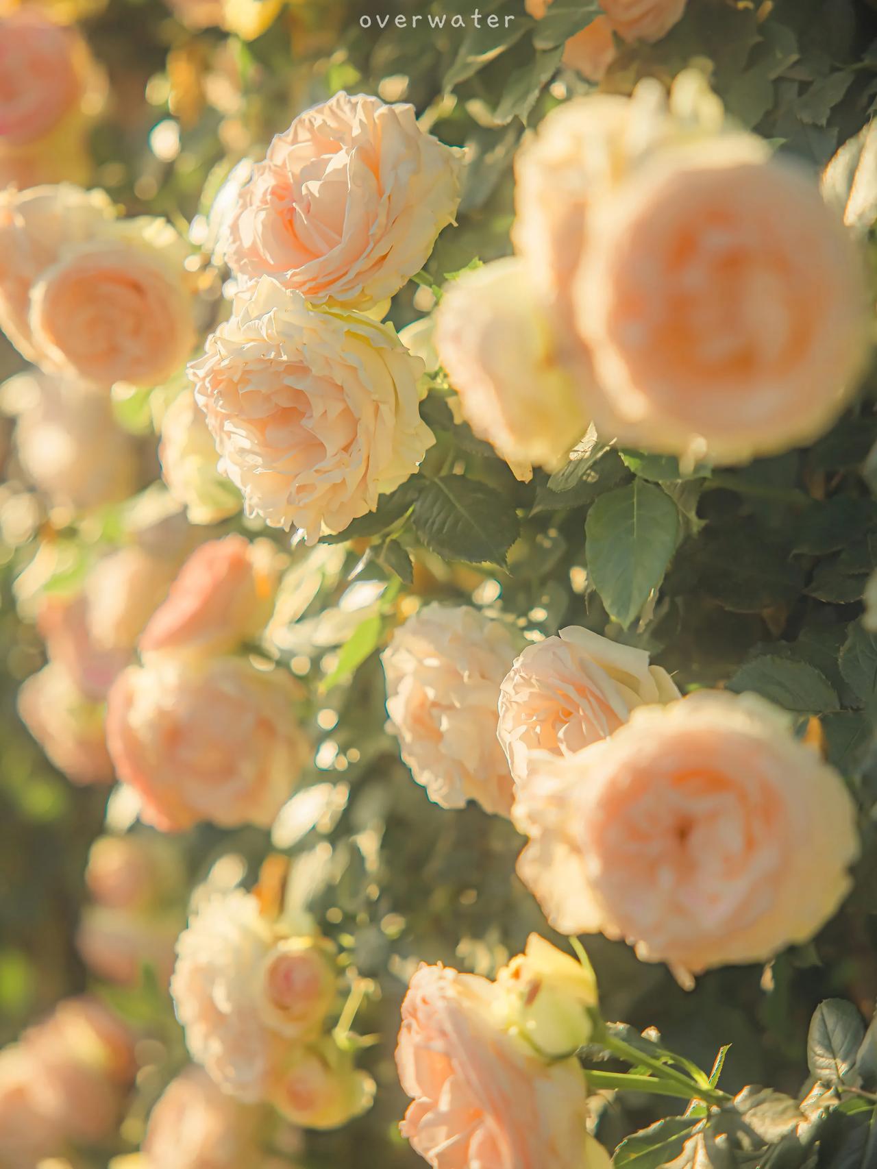 在五彩缤纷，在物欲横流的环境中，我们人的精神被千千万万的事物拉扯着。这个时候造就