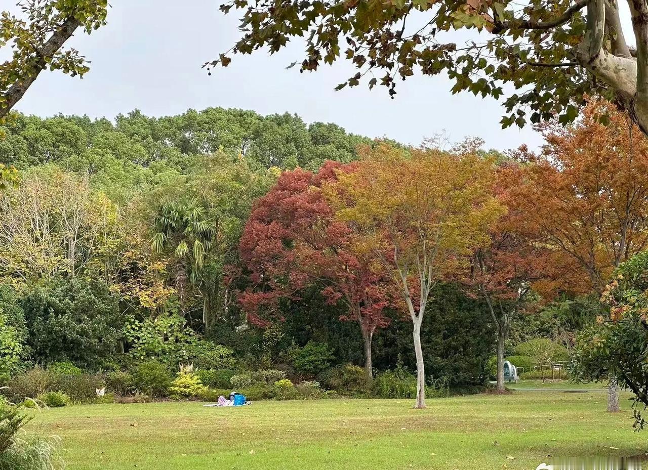 【立冬后竟还有台风？确认将影响上海】告别了双休日的阴雨，今天（11月10日）金山
