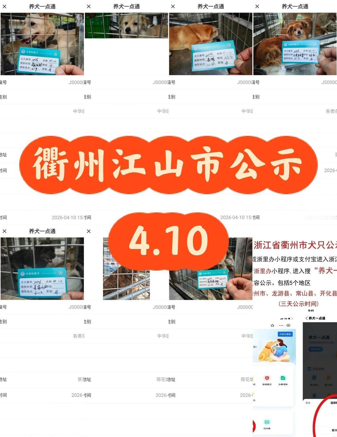 浙江浙里办衢州(江山市)2026.4月10日公示
江山寻狗   江山市寻狗寻主。