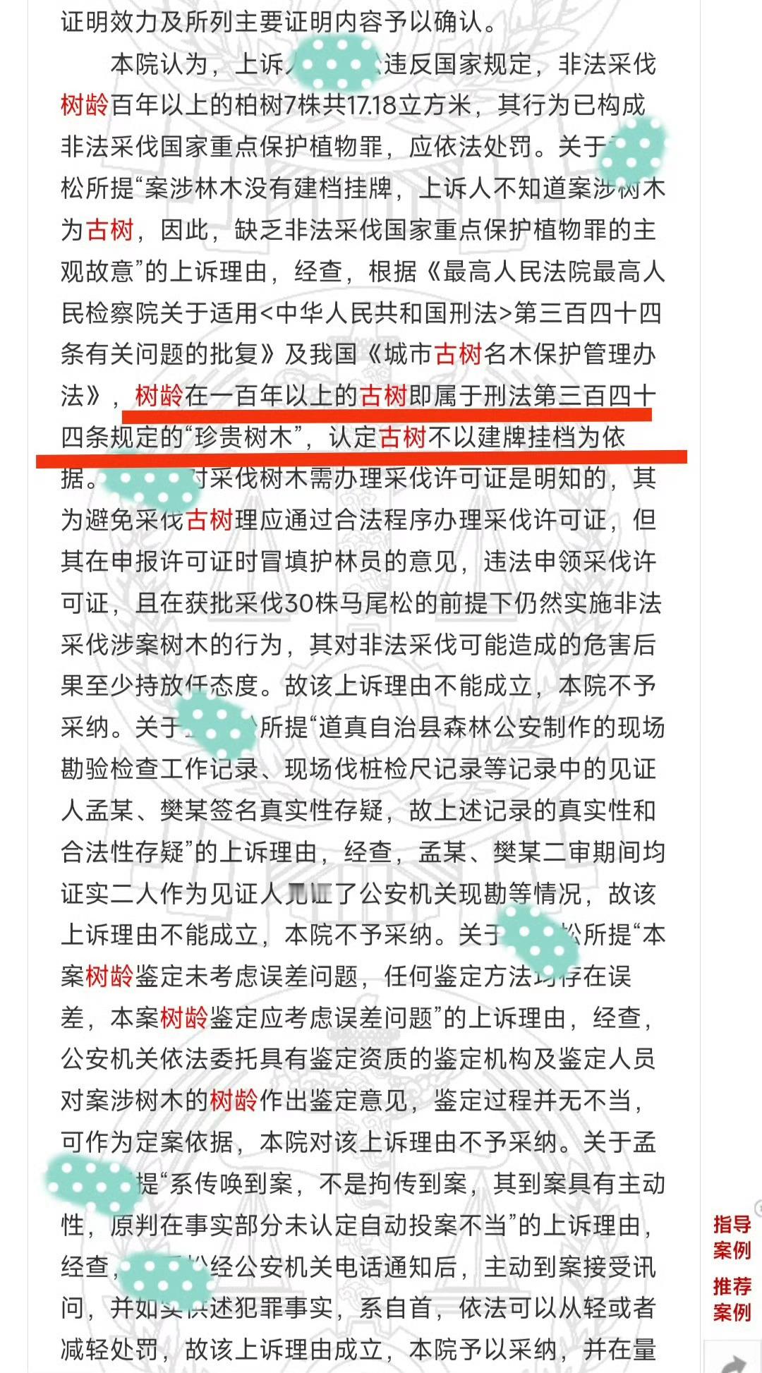 警方回应树龄超40年网红松树被盗挖¹ 如果只是40多年树龄，大概率罚钱、补种，不