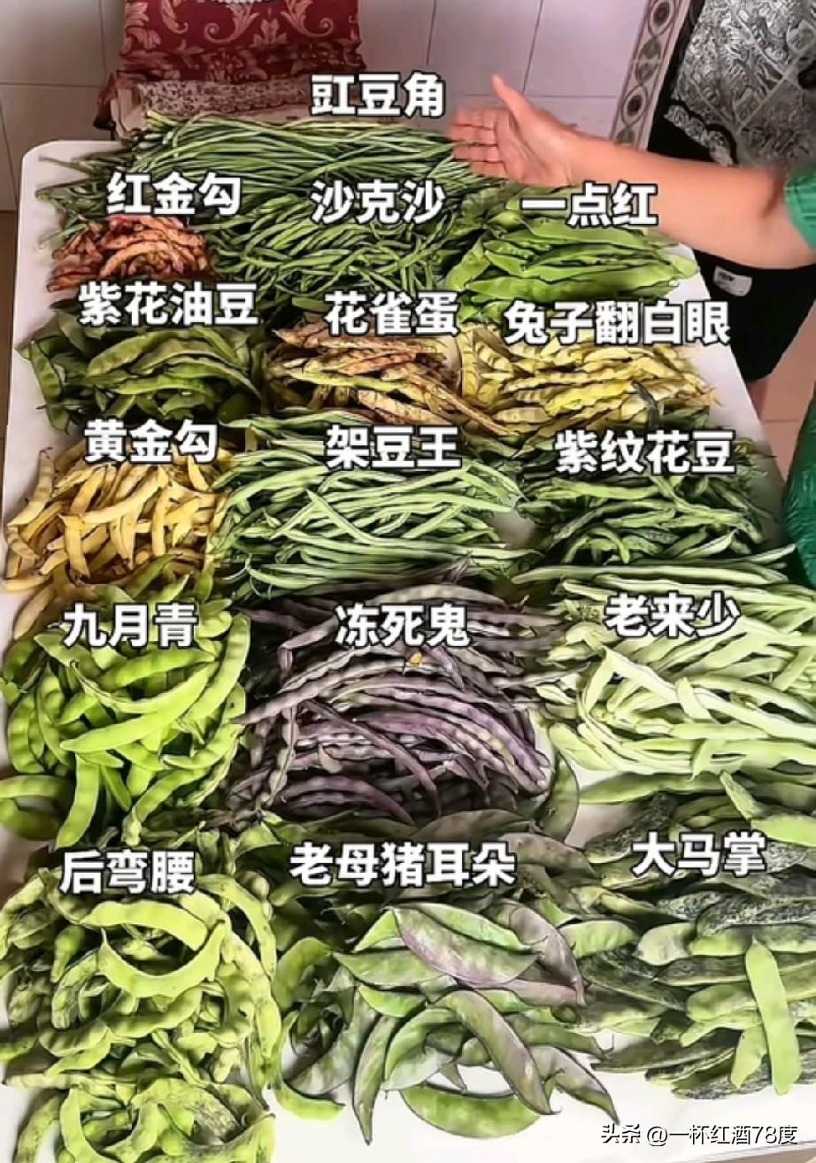 豆角在全国其他地方种类很少，通常人们知道的是架豆王和大白花，但在东北那是种类繁多