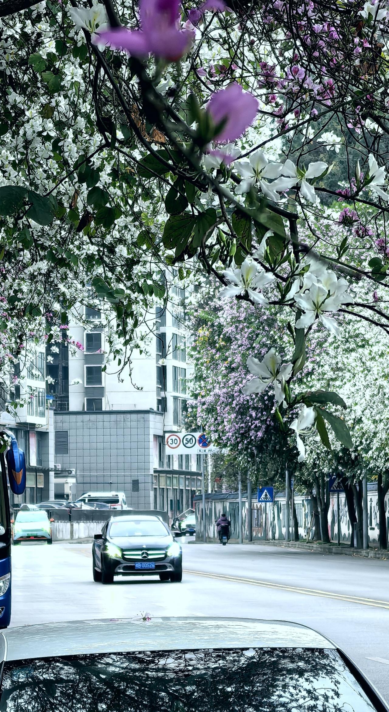 国家应该严禁
明星网红官宣什么掰结婚离婚谈恋爱