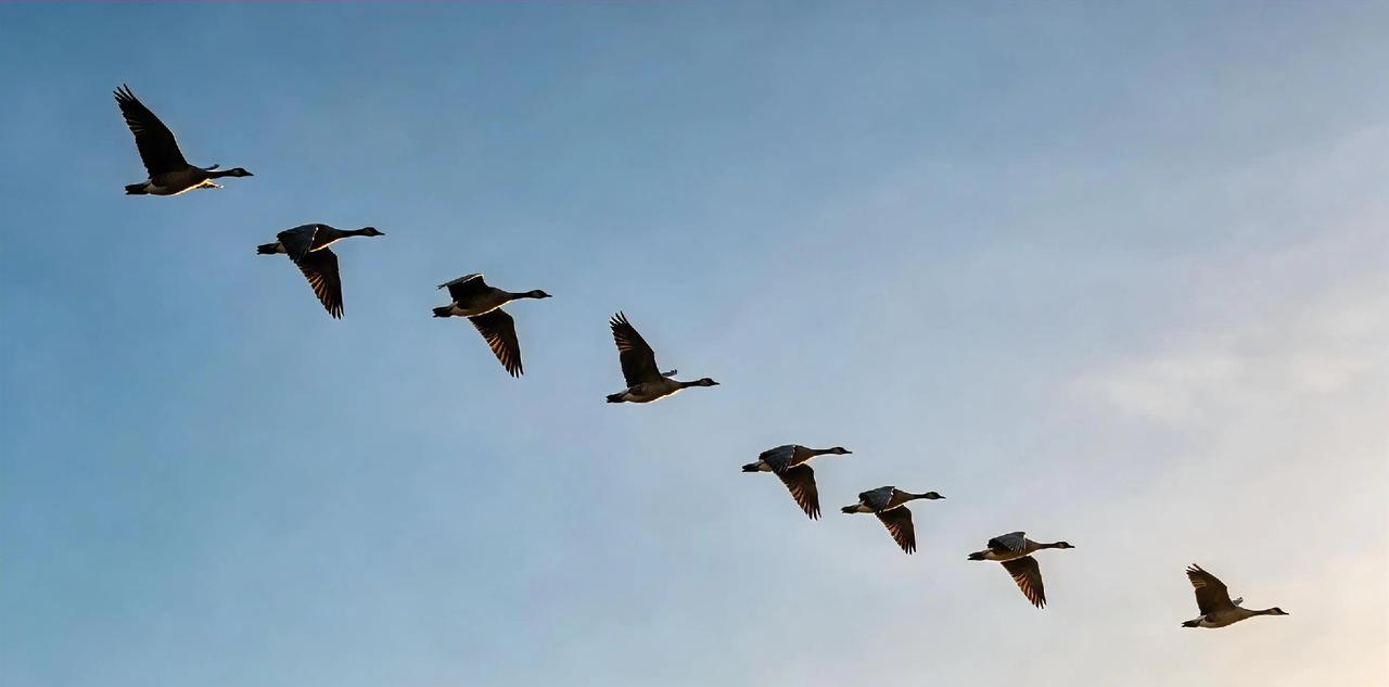 分享一张你相册里的天空风景照