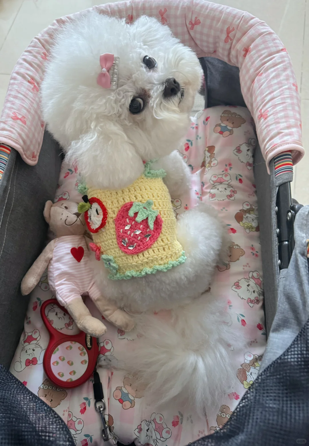 给毛孩子mama牌温暖！