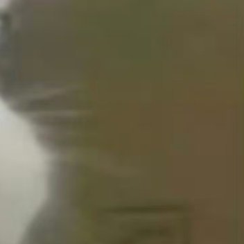 0000葡萄的种植方法1、选择环境和土壤葡萄植株喜光、喜温、喜干燥、喜肥，种植非