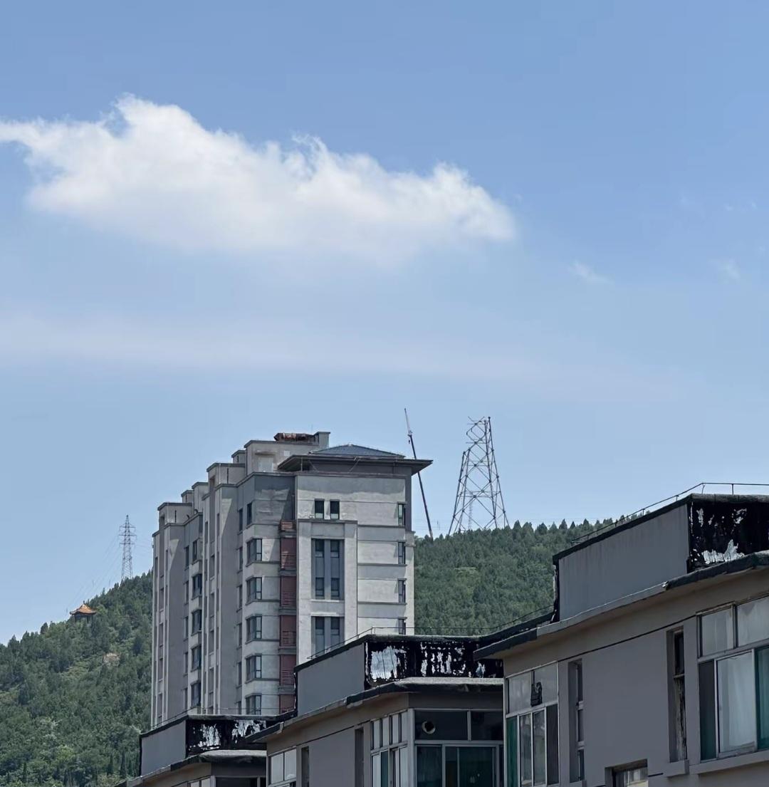 邹平这张图请网友一句话总结下吧？