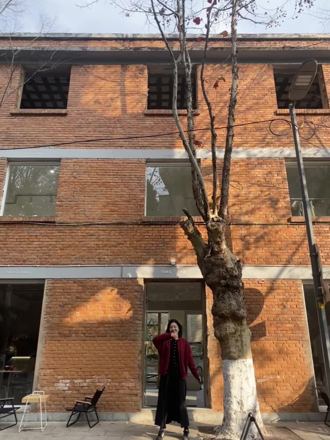 被云南的咖啡文化硬控了