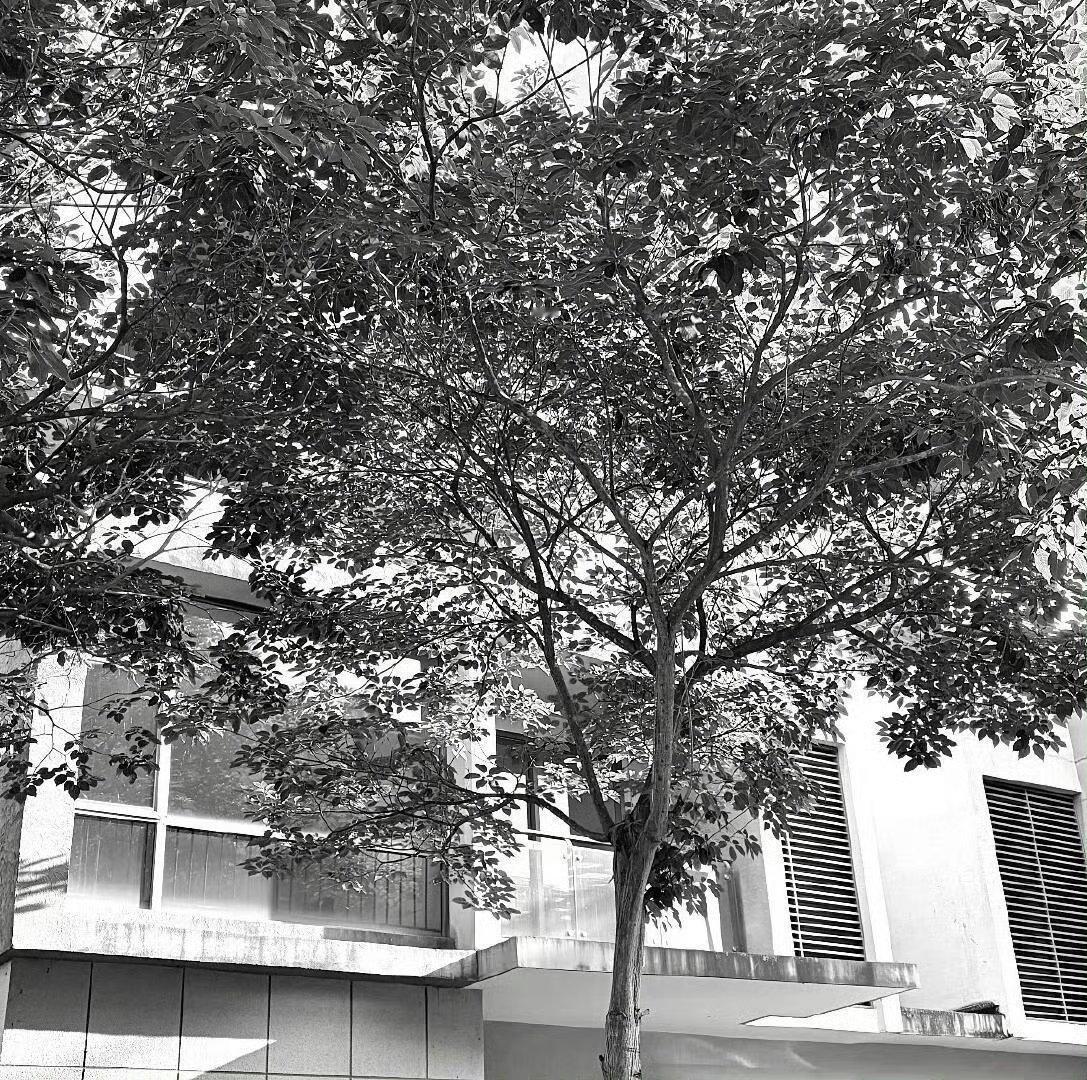 简隋英[超话]｜简隋英 如果人生要经历一万次哭泣 请告诉我生命的意义 ​​​