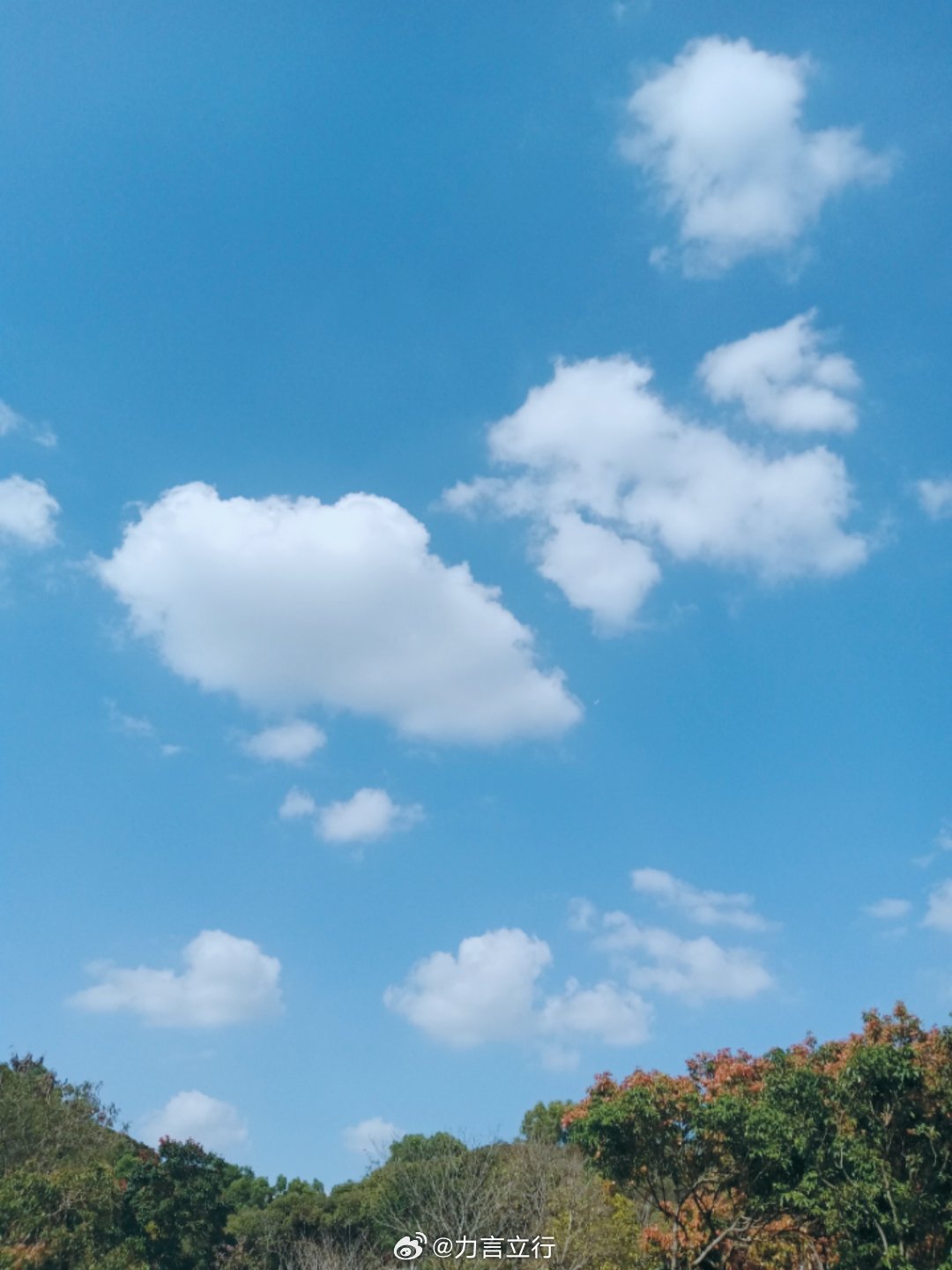 排超联赛 晚上7点，男排季后赛最后一轮：福建福清vs天津食品集团河北保定沃隶vs