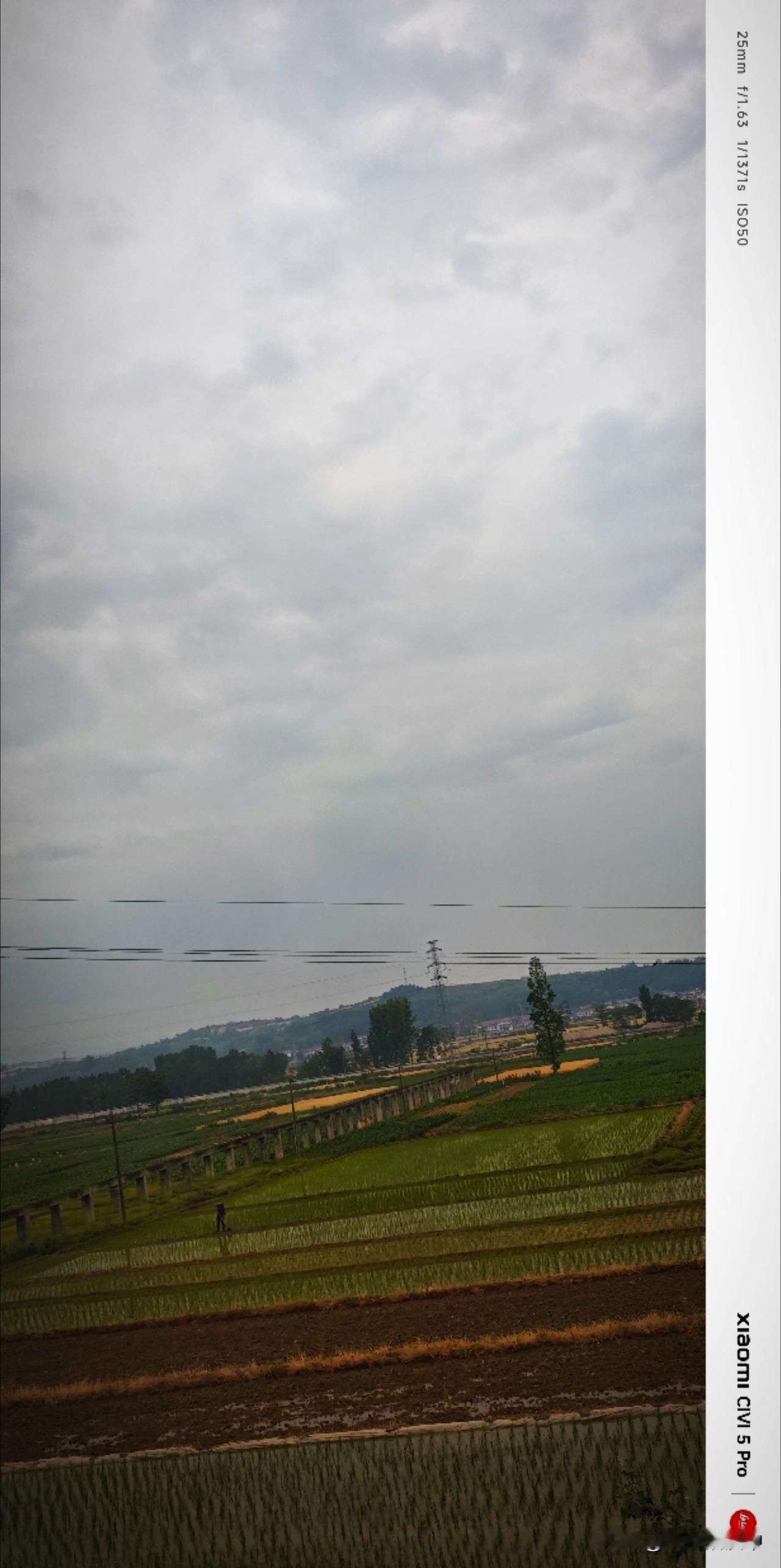 落雨了，水田还有农人忙碌。偶有驻唱的青蛙，然后彼此呼应，稻田里蛙声一片，然后瞬间