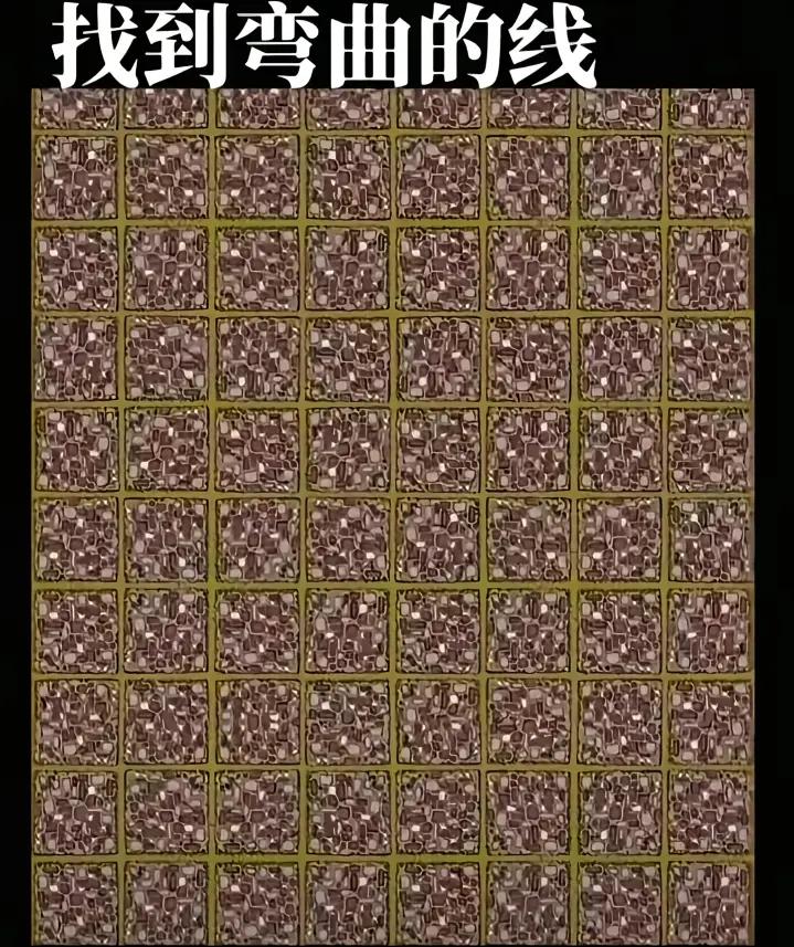 请问图中有没有弯曲的线？你能不能找到？