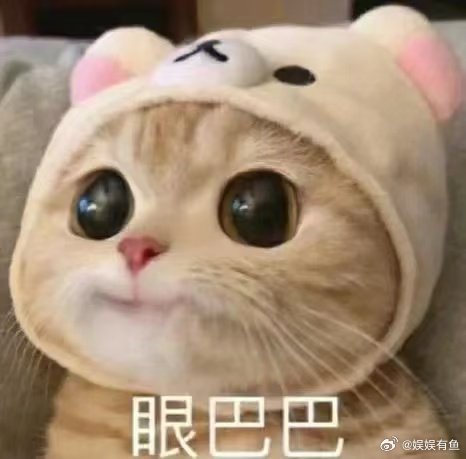 终于理解了超快换机的年轻人很多人换机并非一时冲动，会对比机型、算好置换补贴，综合