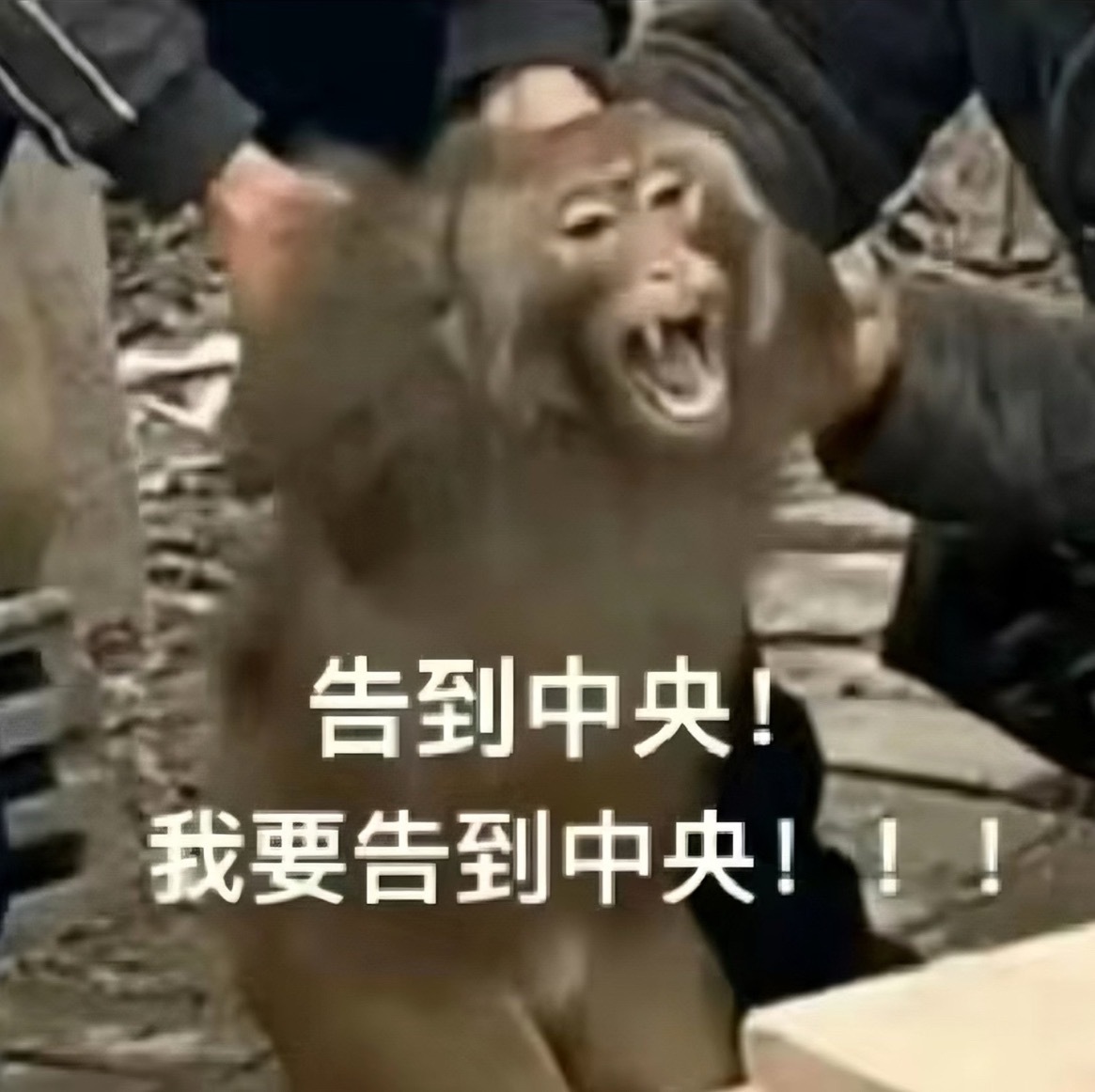TOP新歌热度人还认不全，但如果我是这个团策划，我今天下午就得告到lf那儿……四