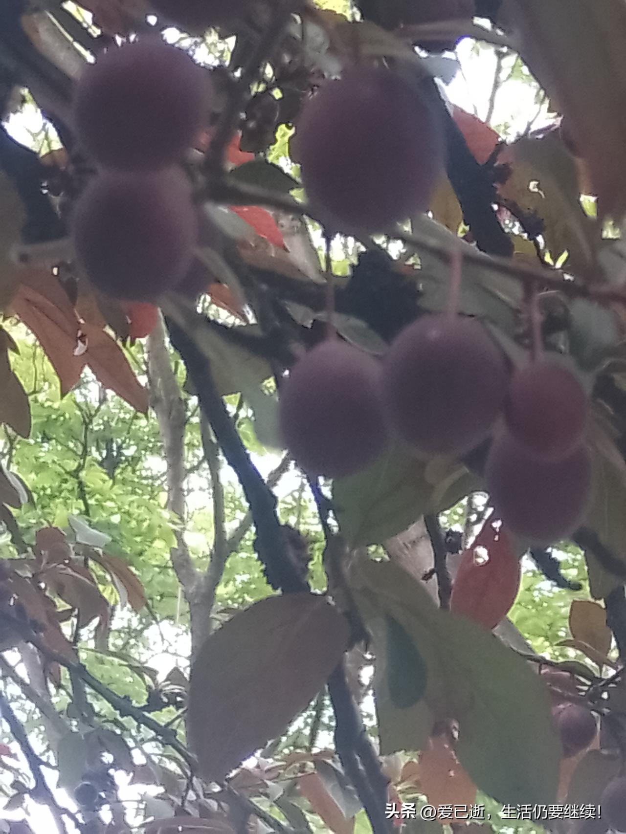 滇中引水工程对于云南的好处有哪些解决云南了太多问题了！别看云南似乎看着水资源丰富