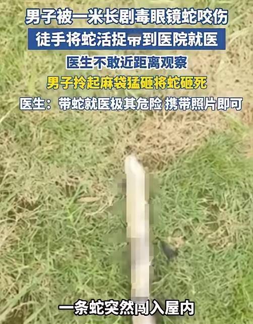 6月21日报道，云南临沧一名44岁男子在家休息时，一条蛇突然闯进屋。他本来想把蛇