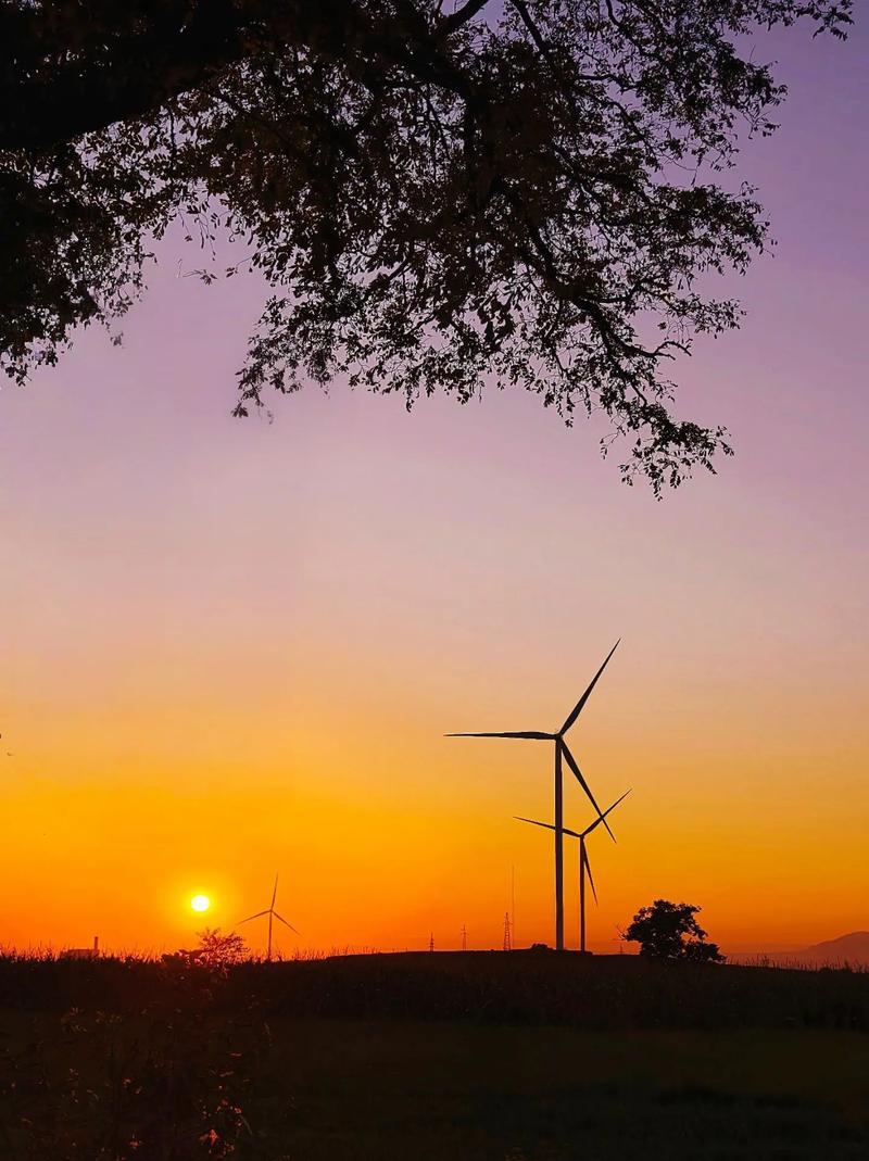 最先懂的就是，健康永远是人生的根基。年轻时总觉得自己扛造，熬夜、瞎造、乱发脾气，