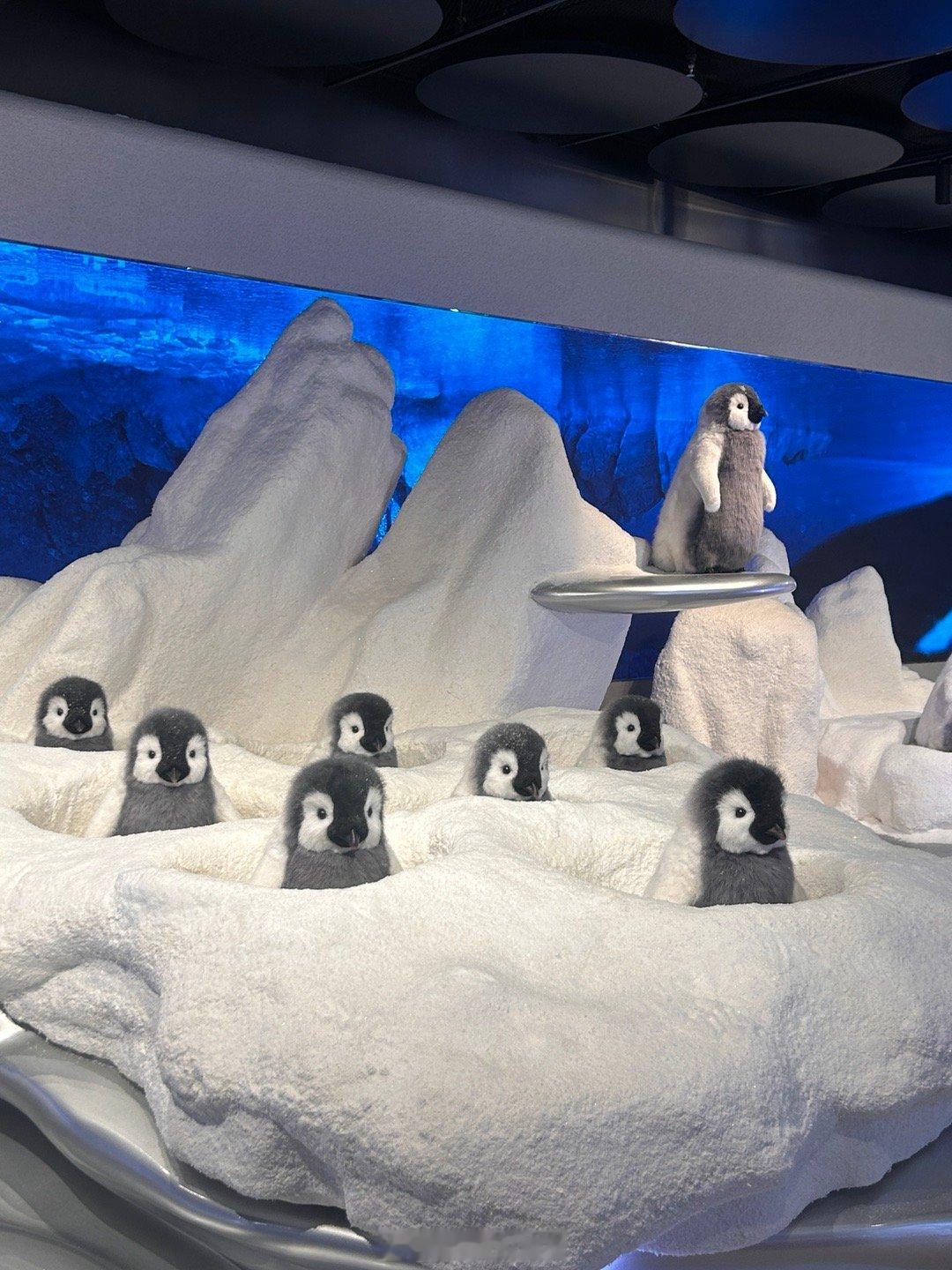 🐧❄️ ​​​