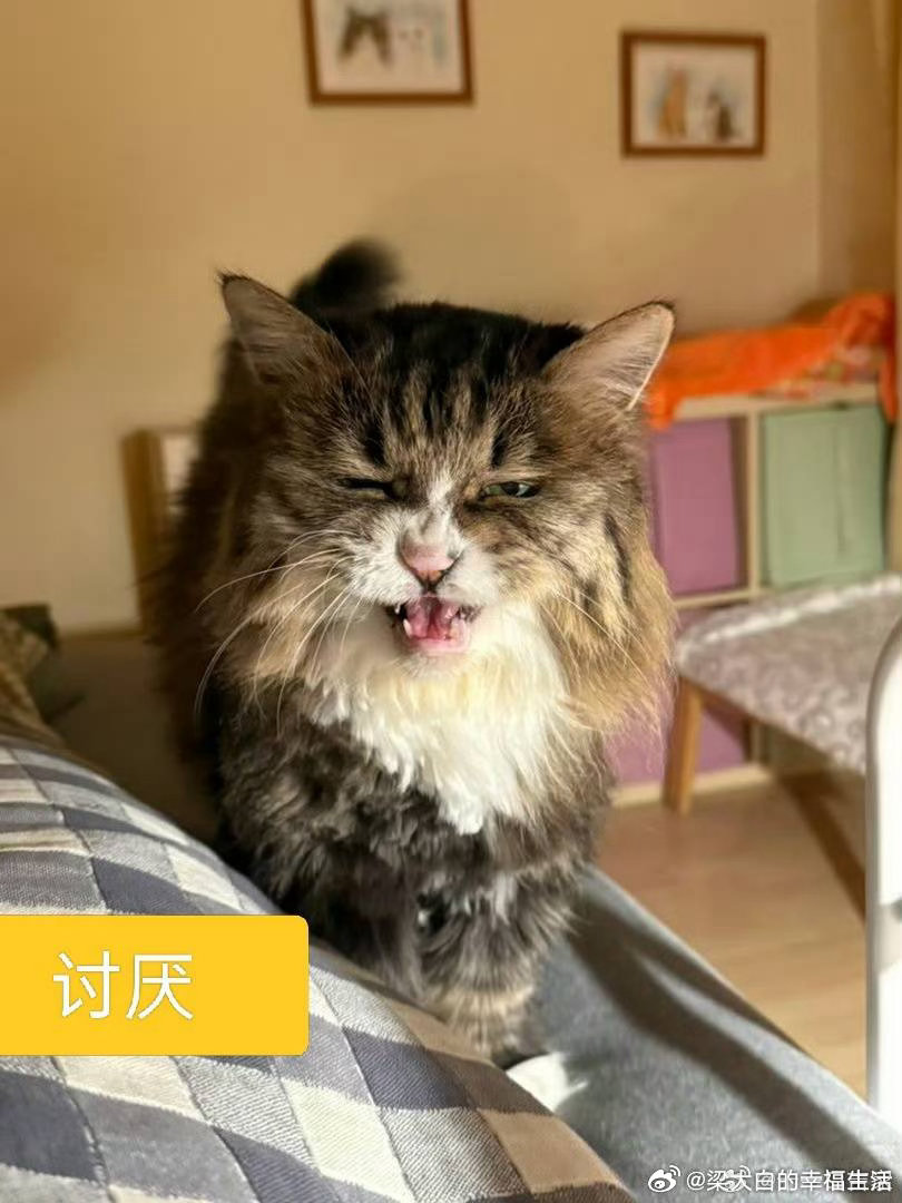 在用笔记本看剧，暂停了一下，再打开就没有声音了。喊赵老师过来修，不到一分钟就修好