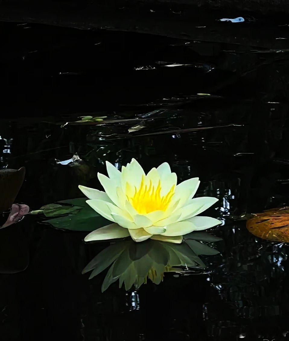 多去争取别人抢不走的东西  比如思维，比如身材  比如气质，比如快乐 ​​​