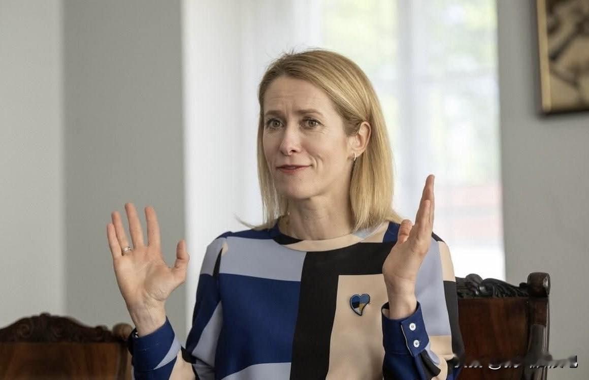 欧盟外交与安全政策负责人卡娅·卡拉斯表示，国际社会应当推动削减俄罗斯军队规模及其