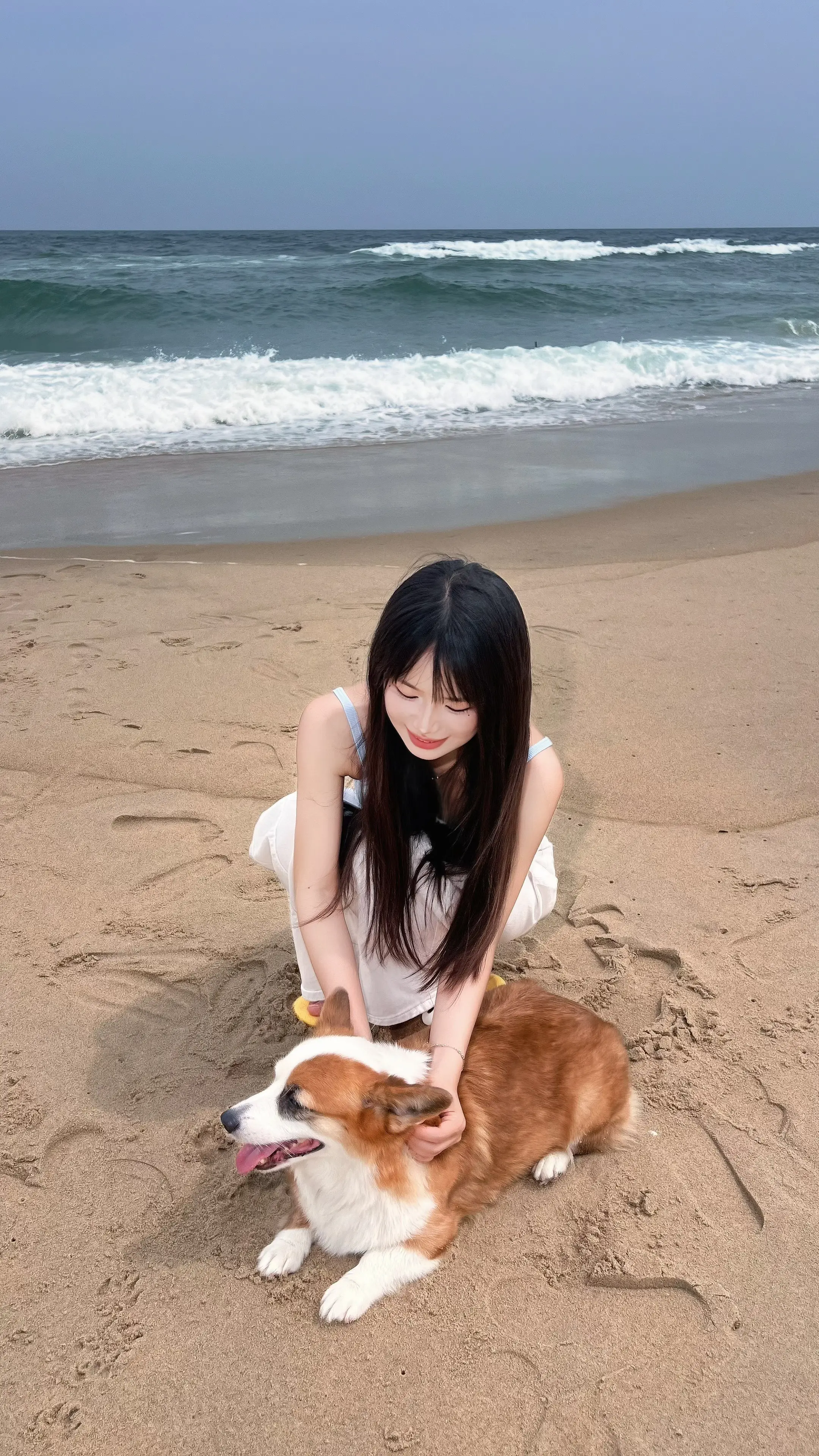 晴天  大海  小狗