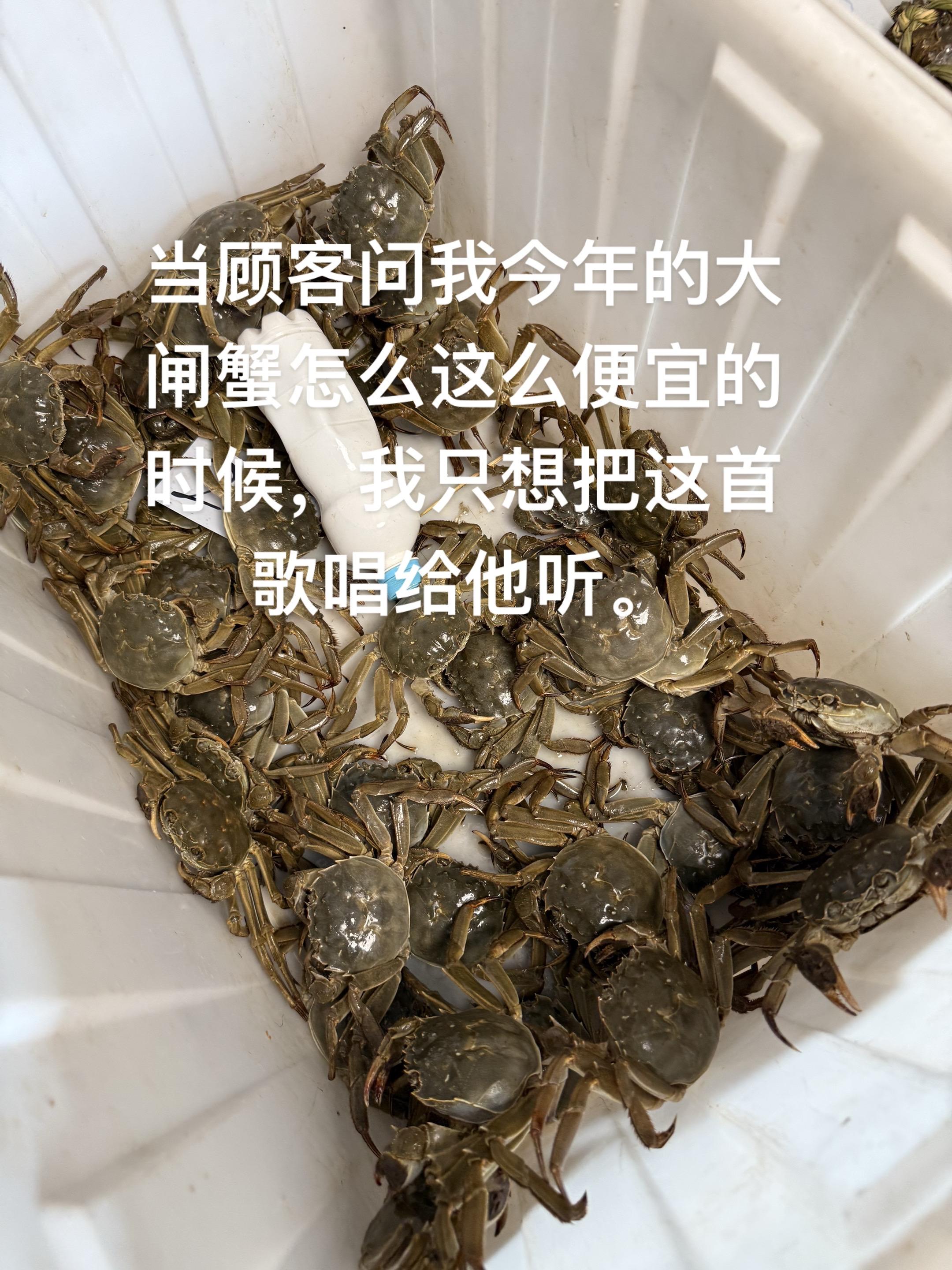 当顾客问我今年的大闸蟹怎么这么便宜的时候，我只想把这首歌唱给他听。