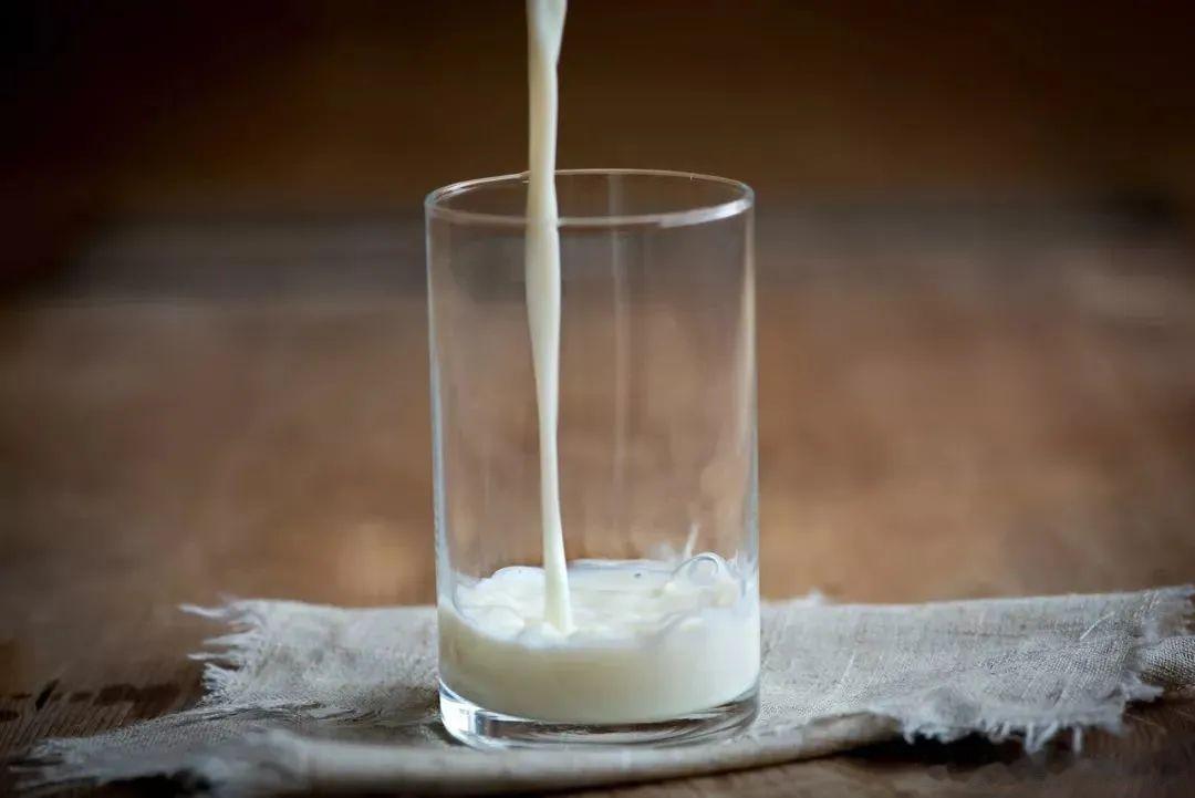 全民营养提升计划乳制品的营养密码  减脂期可以喝牛奶吗？减脂期是可以喝牛奶的：补