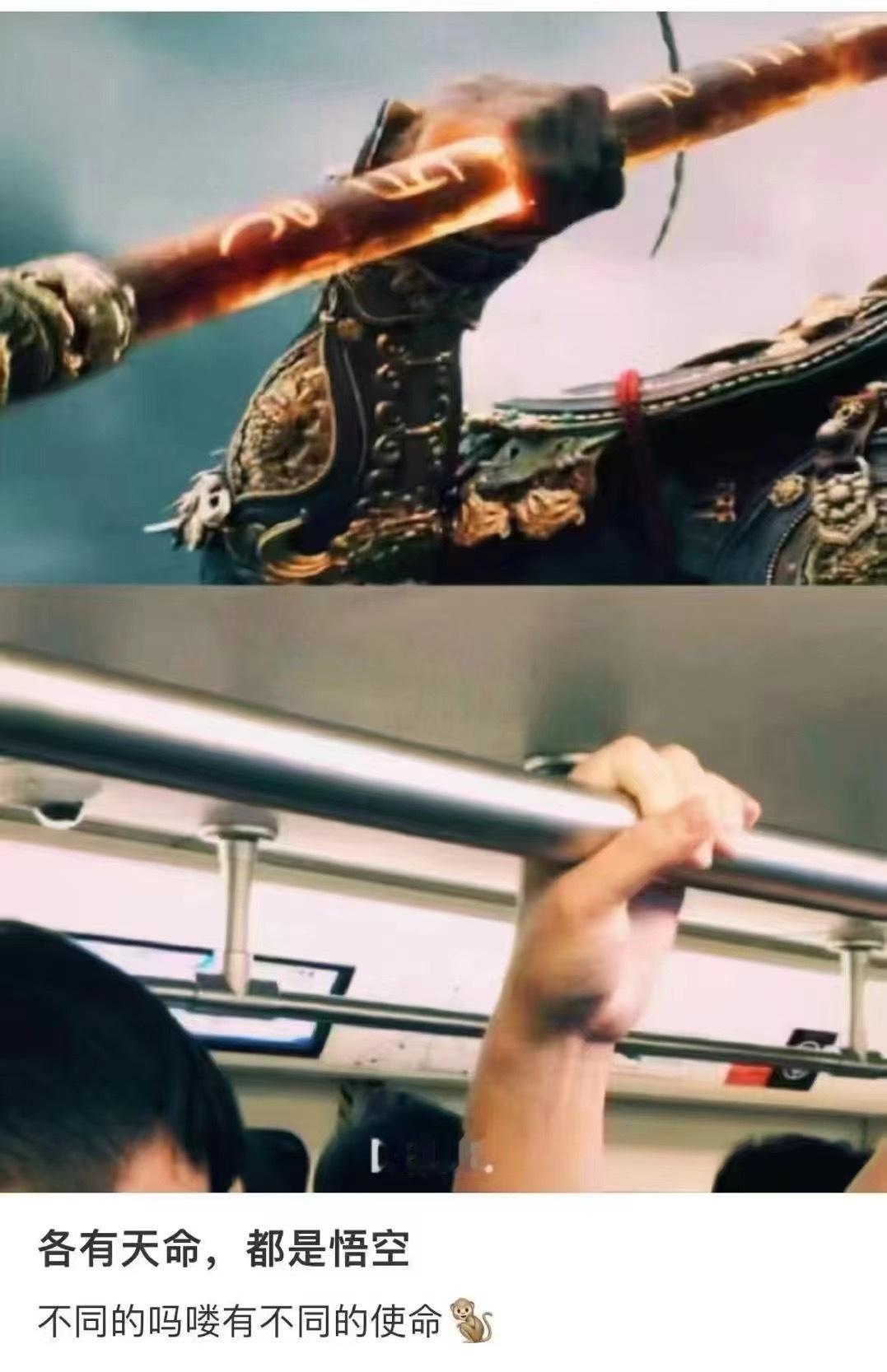 各有天命 ​​​