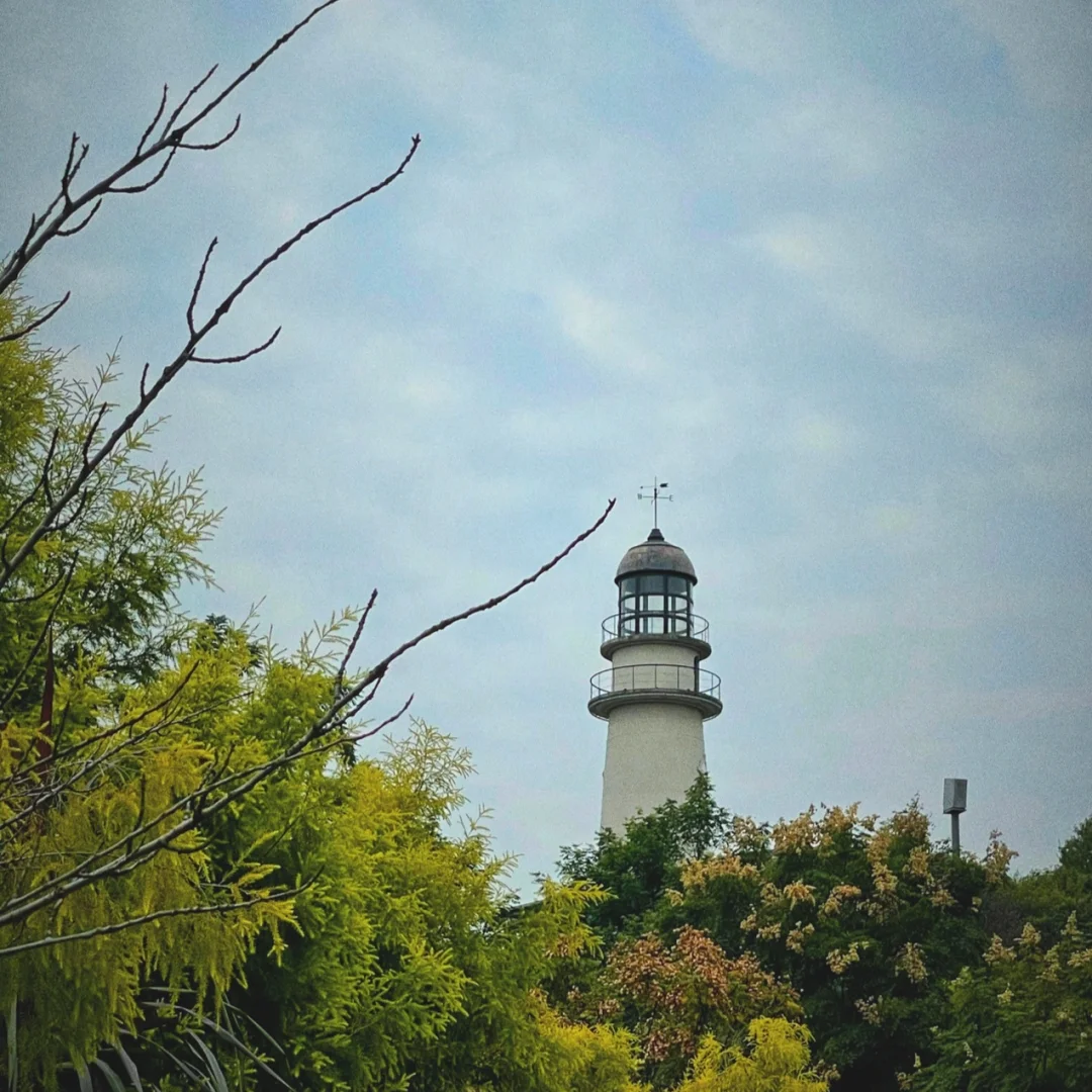 长期大量摄入豆制品对身体健康的不利影响