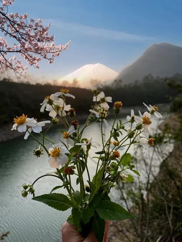 爱生活爱自己，这太对了！生活就像一场奇妙旅程，会有风景如画的美景，也会有荆棘坎坷