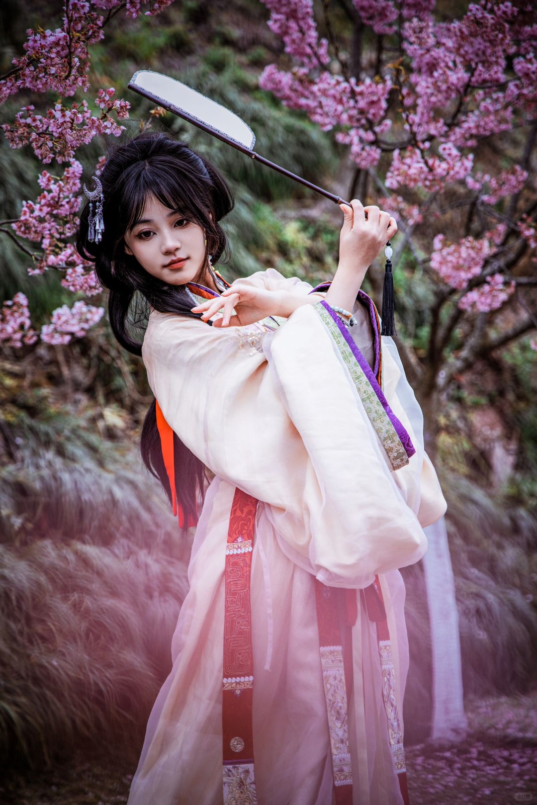 🎉渝北康庄美人梅盛开啦，快去拍照🌈❤️