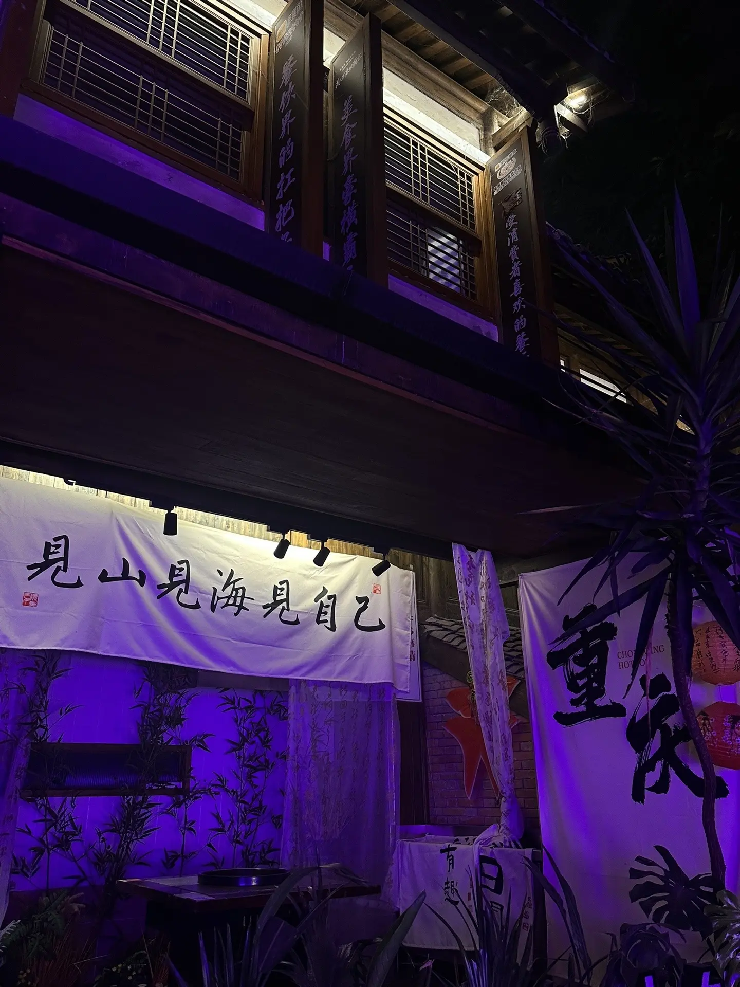 普通又平淡的现状 有人参与你的吃喝玩乐 但从未有人真正能再走进你的生活...