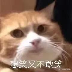 突然发现大家的吃商到了极致 看大家吃饭前拍照、吃饭时点评、吃完还写测评，这吃商已