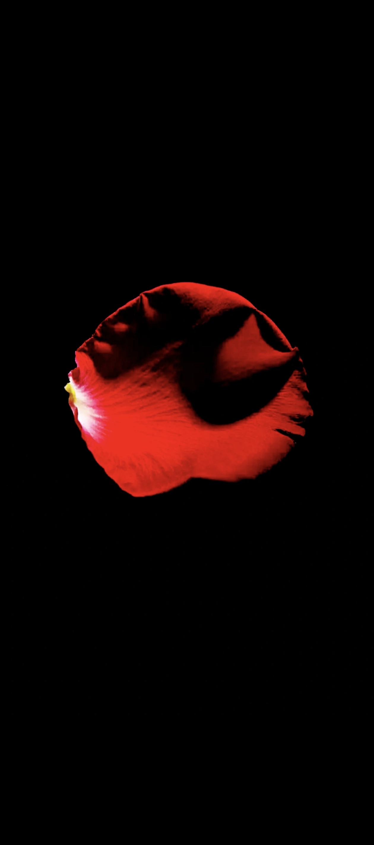 意想不到的中药名 1、麻黄叫青龙2、石膏叫白虎3、大枣叫朱雀4、附子叫玄武5、补