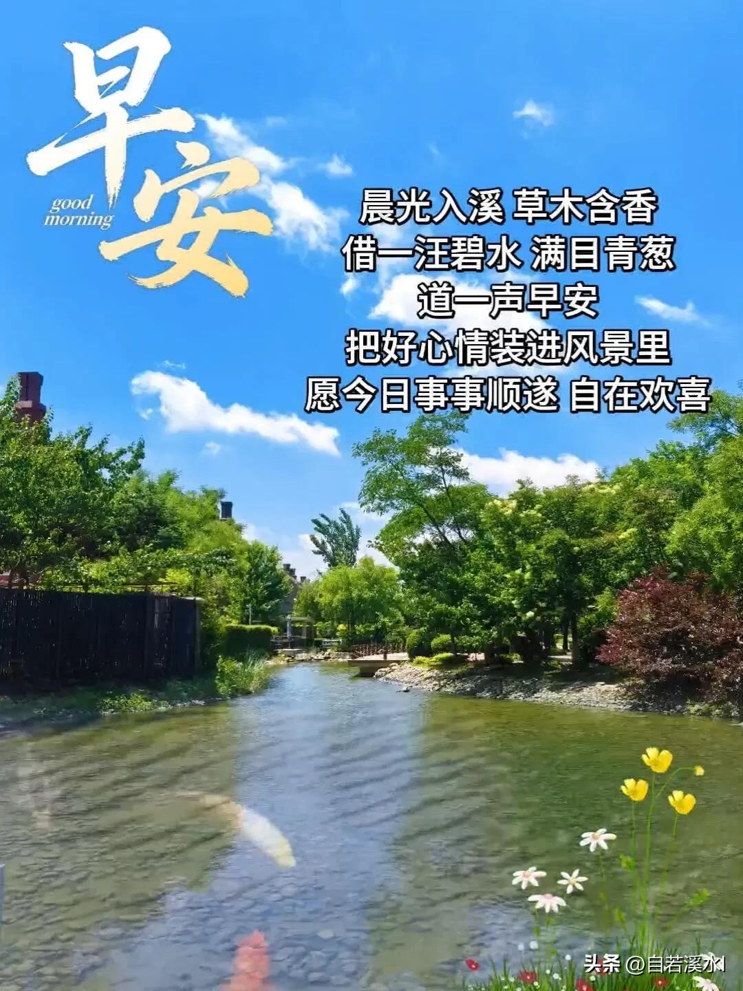 新的一天，心怀阳光，遇事从容，万事向好。早安