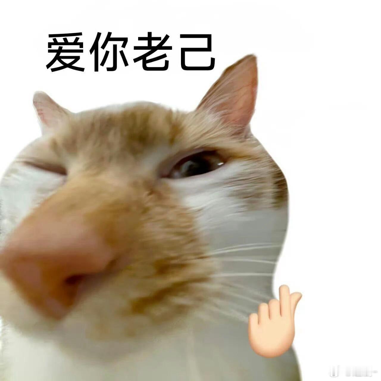 学会爱己后亲戚的话没那么刺了 “怎么还不考驾照”的催促，不再让我慌张。节奏由自己