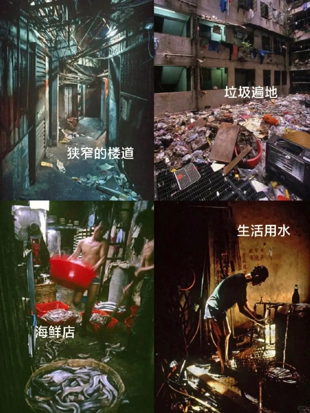 ‼️肾上腺素起来加班了‼️高燃好片‼️爽‼️‼️