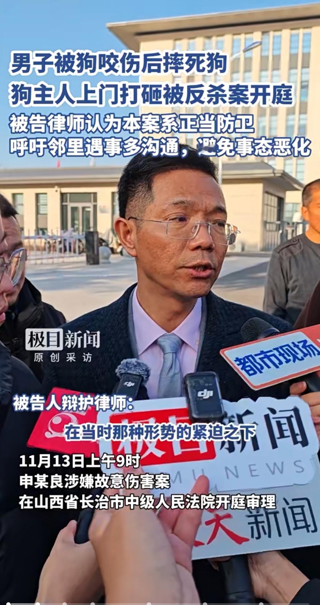 摔死狗应该！误伤人是正当防卫！一切悲剧都是狗主人造成的！

狗咬了申某，被申某打